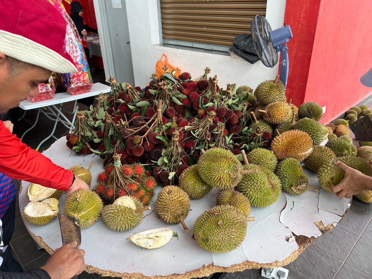 WhatsApp Image 2024-08-30 at 11.57.58 PM (17)